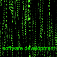 Software Development